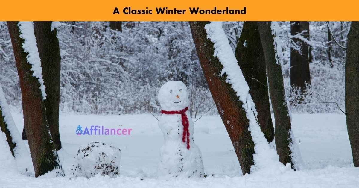 A Classic Winter Wonderland