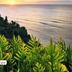 Kauai Free Activities